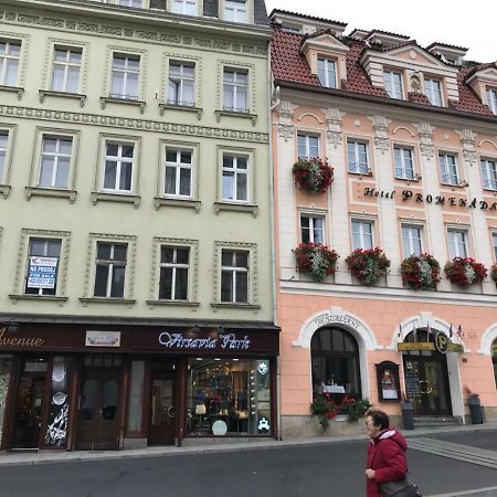 New Cosy Studio Karlovy Vary Exterior photo